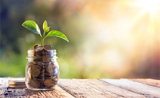 jar of coins with a plant growing out of it