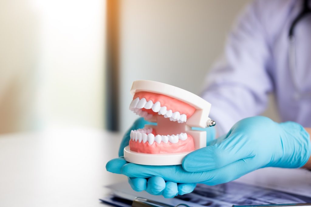 Dentist holding model of teeth with blue gloves